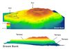 A 3-D representation of Dream Bank, a long-dead reef offshore South Texas. The vertical scale of the image has been increased to clearly illustrate the terrace structures that form due to rising sea levels via a process known as backstepping.