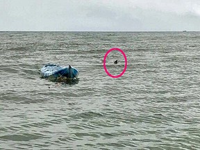 A great white shark trails Sarah Williams' kayak on Sunday off an Australian beach.