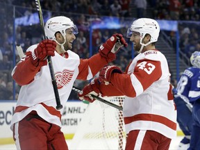 Detroit Red Wings center Frans Nielsen, of Denmark,, left, celebrates his goal against the Tampa Bay Lightning with left wing Darren Helm during the first period of an NHL hockey game Thursday, Oct. 26, 2017, in Tampa, Fla. (AP Photo/Chris O'Meara)