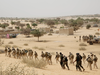 Chadian troops and Nigerian special forces participate in exercises with the U.S. military and its Western partners in Mao, Chad.