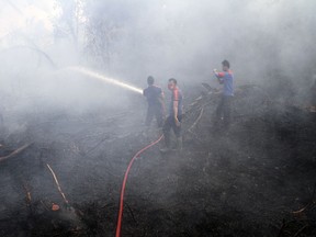 FILE - In this Sept. 16, 2014, file photo, firemen spray water in an attempt to extinguish bush fires on a peat land in Siak Riau province, Indonesia. A new NASA satellite finds another thing to blame on El Nino: A recent record high increase of carbon dioxide in the air. The satellite details how the super-sized El Nino a couple years ago added 2.5 billion tons of carbon into the air, making the natural phenomenon the main factor in the biggest jump in heat-trapping gas levels in modern record, NASA scientists said.  (AP Photo/Rony Muharrman, File)