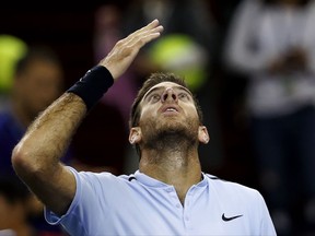 Juan Martin del Potro of Argentina celebrates after defeating Alexander Zverev of Germany in their men's singles match of the Shanghai Masters tennis tournament at Qizhong Forest Sports City Tennis Center in Shanghai, China, Thursday, Oct. 12, 2017. (AP Photo/Andy Wong)