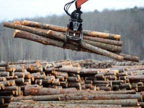 The U.S. Commerce Department said on Thursday it made a final finding that imports of Canadian softwood lumber are being unfairly subsidized and dumped in the United States.