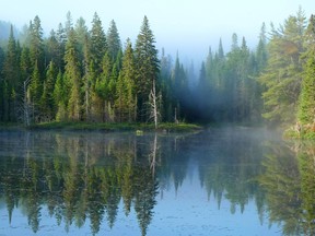 Virtually all of Algonquin Provincial Park is included in the land claim treaty.