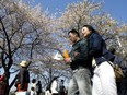 South Koreans walk beneath cherry blossoms near the national assembly  in Seoul, South Korea.