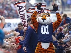 Auburn mascot Aubie entertains the crowd before the start of an NCAA college football game against Louisiana Monroe, Saturday, Nov. 18, 2017, in Auburn, Ala. (AP Photo/Butch Dill)