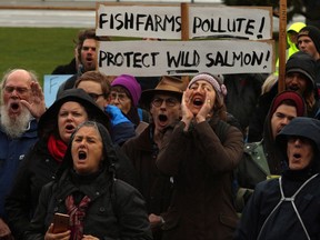 Kwakwaka'wakw nations and supporters protest fish farms in their traditional territories during a demonstration on Lekwungen Territory at the provincial legislature, in Victoria on Thursday, November 2, 2017. Marine Harvest Canada is asking the court for an injunction to remove First Nations protesters, of the Musgamagw Dzawada'enuxw nation, from one of its salmon farms near Vancouver Island. THE CANADIAN PRESS/Chad Hipolito
