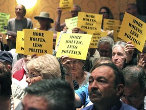 FILE - In this Sept. 29, 2015 file photo, many in the crowd hold signs in support of the Mexican gray wolf during a meeting of the New Mexico Game Commission in Albuquerque, N.M. After decades of legal challenges and political battles that have pitted states against the federal government, U.S. wildlife managers on Wednesday, Nov. 29, 2017, finally adopted a plan to guide the recovery of a wolf that once roamed parts of the American Southwest and northern Mexico. (AP Photo/Susan Montoya Bryan, File)