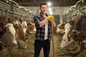 Young agricultural worker posing in a cowshed.