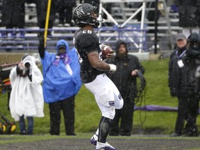 Northwestern running back Jeremy Larkin reacts as he scores a touchdown during the first half of an NCAA college football game against Minnesota, in Evanston, Ill., Saturday, Nov. 18, 2017. (AP Photo/Nam Y. Huh)