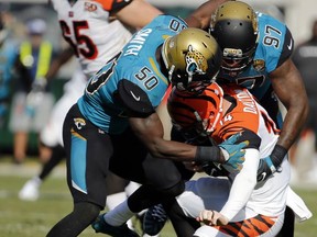 Jacksonville Jaguars linebacker Telvin Smith (50) and defensive lineman Malik Jackson (97) sack Cincinnati Bengals quarterback Andy Dalton (14) during the second half of an NFL football game, Sunday, Nov. 5, 2017, in Jacksonville, Fla. (AP Photo/Stephen B. Morton)