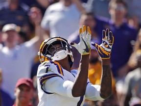 LSU wide receiver D.J. Chark (7) pulls in a touchdown reception in the first half of an NCAA college football game against Arkansas in Baton Rouge, La., Saturday, Nov. 11, 2017. (AP Photo/Gerald Herbert)