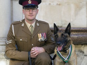 Corporal Daniel Hatley poses for a photo Friday Nov. 17, 2017, with his Military Working Dog, Mali, who was named as recipient of the Dickin Medal for animal bravery after Mali helped save the lives of troops in Afghanistan. The PDSA Dickin Medal is the animal equivalent of the Victoria Cross presented in recognition of bravery.  The  PDSA veterinary charity says Mali was twice sent through direct fire to conduct searches for explosives and detected the presence of insurgents, giving troops key seconds to "engage the enemy in close-quarter combat." (Naomi Gabrielle/PDSA via AP)