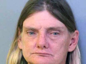 This undated booking photo made available by the Polk County Sheriff's Office shows Donna Byrne, of Lakeland, Fla. Law enforcement officials charged Bryne with driving under the influence while riding a horse down a busy Florida highway on Thursday, Nov. 2, 2017. She was also charged with animal neglect for endangering and failing to provide proper protection for the horse.(Polk County Sheriff's Office via AP)