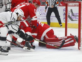 Detroit Red Wings goalie Jimmy Howard (35) stops a Los Angeles Kings center Alex Iafallo (19) shot in the first period of an NHL hockey game Tuesday, Nov. 28, 2017, in Detroit. (AP Photo/Paul Sancya)