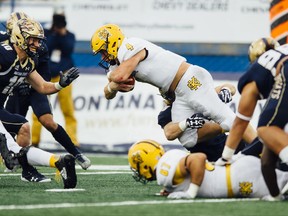 Kennesaw State running back Jake McKenzie dives for yardage against Montana State during the first half of an NCAA college football game at Bobcat Stadium in Bozeman, Mont., Saturday, Nov. 4, 2017. (Adrian Sanchez-Gonzalez/Montana State University via AP)