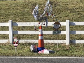 This photo provided by Bill Suthard shows an orange traffic cone with a weed growing out of it, decorated with tinsel and ornaments in Huntersville, N.C.  The roadside attraction dubbed "Cone Weed" is something of a Christmas miracle to locals. The weed has been growing unencumbered across from the Huntersville Fire Station for a year and has amassed a cult following. The fire station tweeted pictures of Cone Weed decked in tinsel and ornaments last week. (Bill Suthard via AP)