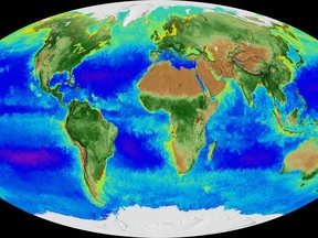 This image made from video released by NASA in November 2017 shows a Mollweide projection of the Earth and its biosphere derived from two decades of satellite data starting in September 1997 going through September 2017. By monitoring the color of reflected light via satellite, scientists can determine how successfully plant life is photosynthesizing. (NASA via AP)