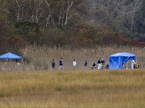 FILE--This photo from Wednesday, Oct. 25, 2017 shows emergency personnel work near temporary tents in a marshy area of Cow Meadow Park & Preserve in Freeport, N.Y., where the FBI says its gang task force found apparent human remains. (AP Photo/Seth Wenig, File)