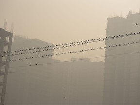 Sparrow birds roosting on cables are silhouetted against an under construction building in the morning fog in Greater Noida, near New Delhi, India, Friday, Nov.10, 2017. A thick gray haze has enveloped India's capital region as air pollution hit hazardous levels. As winter approaches, a thick, soupy smog routinely envelops most parts of northern India, caused by dust, the burning of crops, emissions from factories and the burning of coal and piles of garbage as the poor try to keep warm. (AP Photo/R S Iyer)