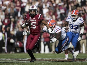 South Carolina running back A.J. Turner (25) runs away from Florida linebacker Vosean Joseph (11) and David Reese (33) during the first half of an NCAA college football game Saturday, Nov. 11, 2017, in Columbia, S.C. (AP Photo/Sean Rayford)