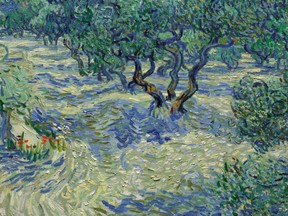 Olive Trees.1889. Oil on canvas. Dimensions: Unframed: 28 3/4 x 36 1/4 inches (73.03 x 92.08 cm). Framed: 37 3/4 x 45 1/2 x 2 inches (95.89 x 115.57 x 5.08 cm). Purchase: William Rockhill Nelson Trust. 32-2.