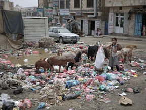 FILE - In this Jul. 26, 2017 file photo, a girl scavenges at a garbage dump in a street in Sanaa, Yemen. The United Nations and more than 20 aid groups said Thursday, Nov. 9, 2017, that the Saudi-led coalition's tightening of a blockade on war-torn Yemen could bring millions of people closer to "starvation and death." About two-thirds of Yemen's population relies on imported supplies, said the groups, which include CARE, Save the Children and Islamic Relief. (AP Photo/Hani Mohammed, File)