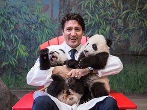 Prime Minister Trudeau meets Canadian Hope and Canadian Joy prior to the panda naming ceremony at the Toronto Zoo. March 7, 2016.