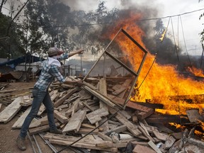 A supporter of opposition presidential candidate Salvador Nasralla throws wood on a fire using materials stolen from a warehouse, near the institute where election ballots are stored in Tegucigalpa, Honduras, Thursday, Nov. 30, 2017. Protests are growing as incumbent President Juan Orlando Hernandez emerged with a growing lead for re-election following a reported computer glitch that shut down vote counting for several hours. (AP Photo/Fernando Antonio)