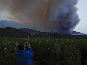 Lupe Robles uses his phone to take pictures of a huge plume of smoke from a wildfire in Santa Paula, Calif., Thursday, Dec. 7, 2017.