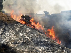 In this Wednesday, Dec. 6, 2017 file photo, flames sweep up a steep canyon wall, threatening homes on a ridge line as the Skirball wildfire swept through the Bel Air district of Los Angeles.