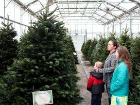 Low supply of Christmas trees in the United States has created bidding wars among retailers, leaving some smaller operations out to dry.