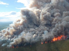 A wildfire burns in the boreal forest of Wood Buffalo National Park, June 17, 2014. Canada loses 20 times more forested land to fires and invasive bugs each year than it does to harvesting wood for industry and Canada's lumber association says climate change is making it worse.