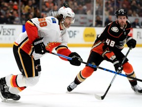 Jaromir Jagr of the Calgary Flames, left, has the puck sent flying courtesy of Anaheim Ducks' Logan Shaw during NHL action Friday night at the Honda Center in Anaheim. The Ducks were 2-1 winners.