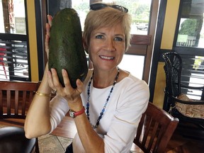 In this Nov. 28, 2017 photo, Pamela Wang poses for a photo in Kealakekua, Hawaii, with an avocado she found while on a walk. Wang is waiting to hear back from Guinness World Records to find out if the 5-pound (2.3-kilogram) avocado she snagged is the world's largest.
