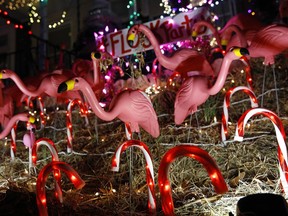 In this Dec. 13, 2017 photo, Christmas decorations featuring a flock of plastic pink flamingos stand in a front yard in the Hampden neighborhood of Baltimore.  Known as "The Miracle on 34th Street," the dramatically over-the-top Christmas decor along a block of row houses is perhaps Baltimore's most beloved seasonal institution, attracting thousands of gawkers each December.