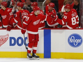 Detroit Red Wings' Gustav Nyquist (14) celebrates his goal against the Winnipeg Jets in the first period of an NHL hockey game Tuesday, Dec. 5, 2017, in Detroit.