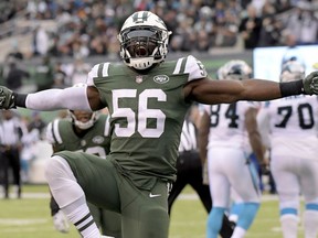FILE - In this Nov. 26, 2017, file photo, New York Jets inside linebacker Demario Davis (56) reacts after a play against the Carolina Panthers during the second half of an NFL football game in East Rutherford, N.J. Davis is having the best season of his career in his sixth year in the NFL.