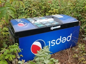 A Pepsi vending machine lies in a field southwest of Grand Falls, New Brunswick.