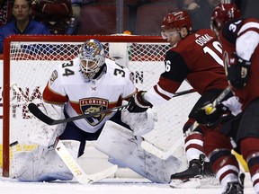 Florida Panthers goalie James Reimer (34) looks to make a save as Arizona Coyotes left wing Max Domi (16) tries to redirect the puck during the first period of an NHL hockey game, Tuesday, Dec. 19, 2017, in Glendale, Ariz.