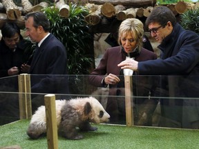 French First lady Brigitte Macron attends a naming ceremony of the panda born at the Beauval Zoo, with Rodolphe Delord, director of the zoo, in Saint-Aignan-sur-Cher, France, Monday, Dec. 4, 2017. The 4-month-old cub is called Yuan Meng, which means "the realization of a wish" or "accomplishment of a dream."