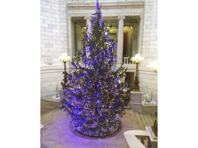 Lights glow on the Christmas tree in the Statehouse rotunda, Friday, Dec. 15, 2017, in Providence, R.I. Piles of needles cover the area beneath it under several bare branches on the donated tree that was put up in November. The governor's office said there were no plans to replace it.