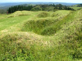Landward side of pa fortifications, looking towards the advanced British position at Ruapekapeka.