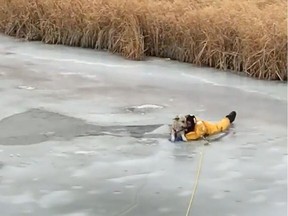 Swift Current fire chief Denis Pilon is warning people to stay off the ice a video posted to Facebook that shows firefighters rescue a dog that its owners had allowed to run off-leash. It ventured onto thin ice and fell through.
