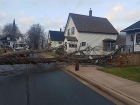 Nova Scotia was hit by high winds that downed power lines and even knocked down trees.