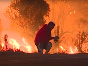 A screengrab of footage showing a man —
 possibly either Oscar Gonzales or Caleb Wadnan — rescuing a rabbit from the St. Thomas wildfire