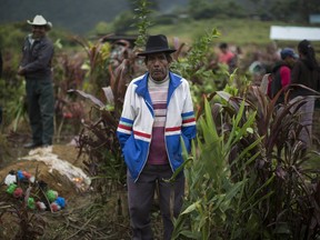In this Nov. 30, 2017 photo, Tomas Cavinal Toma, 70, watches the burial of civil war victims at the cemetery in Santa Avelina, Guatemala. Exhumations in Santa Avelina began in 2014 and in late November forensic anthropologists handed over the remains of 172 people who perished during the years of military control. Their bones and tattered bits of clothing were re-buried individually by surviving family members after over more than three decades in anonymous mass graves.