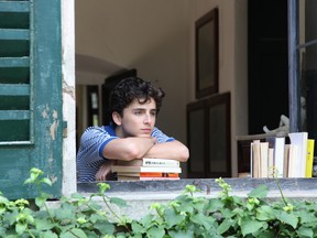 Timothée Chalamet in Call Me By Your Name.