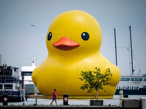A giant yellow duck sits on Toronto's Harbourfront on June 30, 2017.