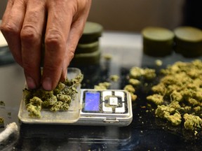 A vendor weighs buds for card-carrying medical marijuana patients.